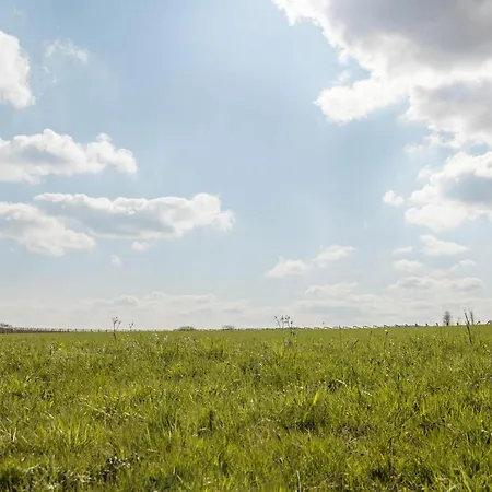 Ferienhof Dachsberg Weitblick