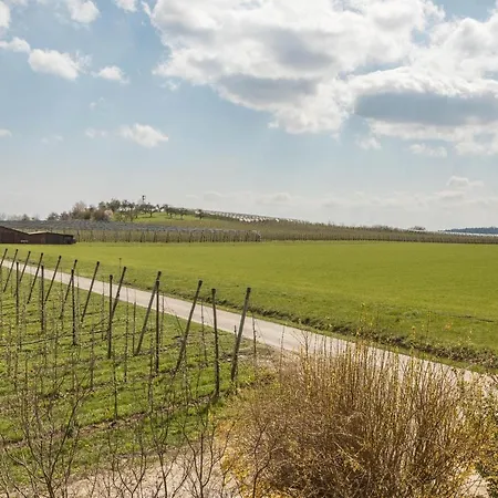 Ferienhof Dachsberg Weitblick Hotel