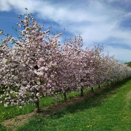 Ferienhof Dachsberg Weitblick Szálloda Bermatingen
