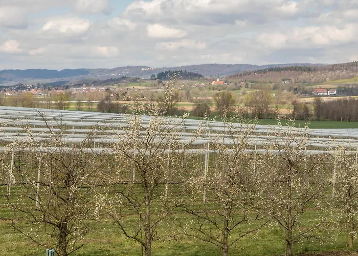 Отель Ferienhof Dachsberg Weitblick Берматинген