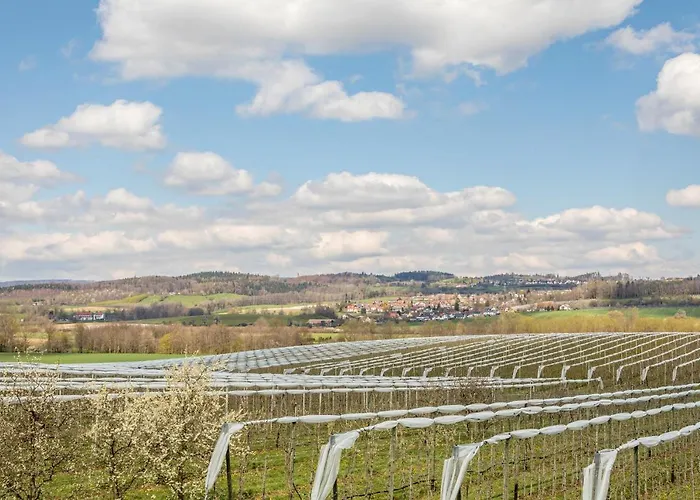 Отель Ferienhof Dachsberg Weitblick *