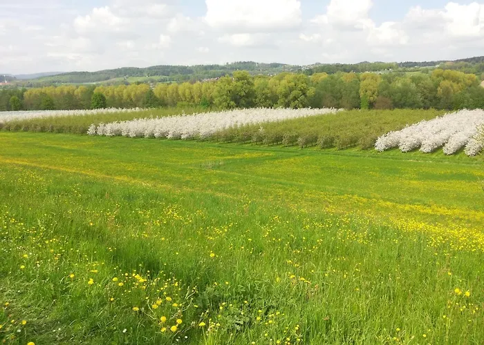 Ferienhof Dachsberg Weitblick Отель *