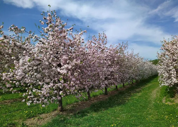 Ferienhof Dachsberg Weitblick Отель Берматинген